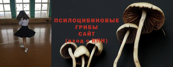марки nbome Алексеевка