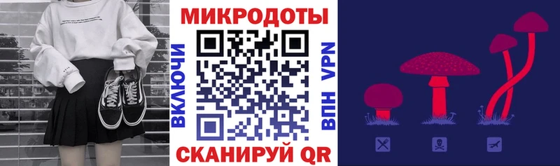 купить наркотики цена  Лениногорск  Галлюциногенные грибы Cubensis 